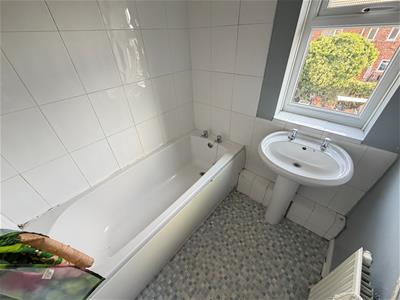 Picture 13